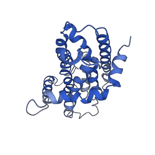 9790_6jbh_D_v1-1
Cryo-EM structure and transport mechanism of a wall teichoic acid ABC transporter