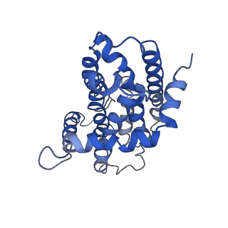 9790_6jbh_D_v1-2
Cryo-EM structure and transport mechanism of a wall teichoic acid ABC transporter