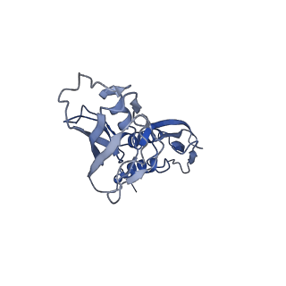 9792_6jbq_A_v1-3
CryoEM structure of Escherichia coli sigmaE transcription initiation complex containing 5nt of RNA