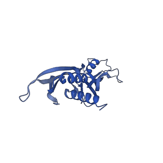 9792_6jbq_B_v1-3
CryoEM structure of Escherichia coli sigmaE transcription initiation complex containing 5nt of RNA