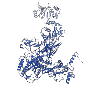 9792_6jbq_C_v1-3
CryoEM structure of Escherichia coli sigmaE transcription initiation complex containing 5nt of RNA