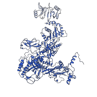 9792_6jbq_C_v1-4
CryoEM structure of Escherichia coli sigmaE transcription initiation complex containing 5nt of RNA