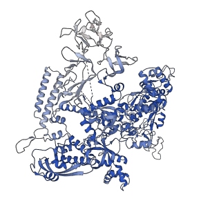 9792_6jbq_D_v1-3
CryoEM structure of Escherichia coli sigmaE transcription initiation complex containing 5nt of RNA