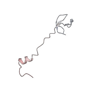 3285_3jcn_0_v1-2
Structures of ribosome-bound initiation factor 2 reveal the mechanism of subunit association: Initiation Complex I