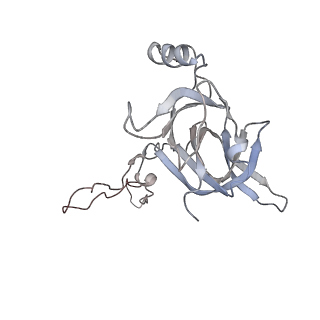 3285_3jcn_D_v1-2
Structures of ribosome-bound initiation factor 2 reveal the mechanism of subunit association: Initiation Complex I