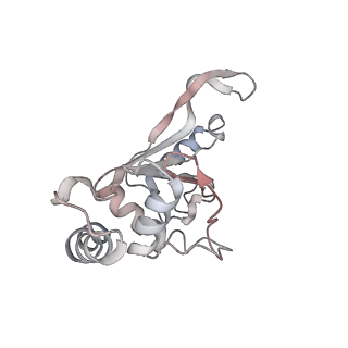 3285_3jcn_F_v1-2
Structures of ribosome-bound initiation factor 2 reveal the mechanism of subunit association: Initiation Complex I