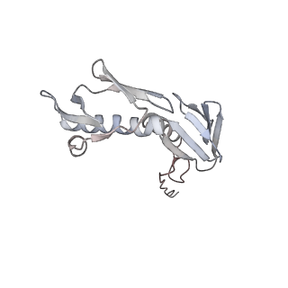 3285_3jcn_G_v1-2
Structures of ribosome-bound initiation factor 2 reveal the mechanism of subunit association: Initiation Complex I