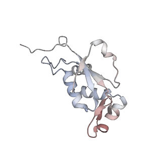 3285_3jcn_J_v1-2
Structures of ribosome-bound initiation factor 2 reveal the mechanism of subunit association: Initiation Complex I