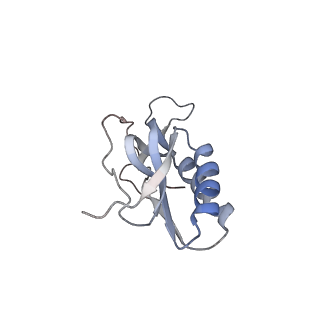 3285_3jcn_M_v1-2
Structures of ribosome-bound initiation factor 2 reveal the mechanism of subunit association: Initiation Complex I