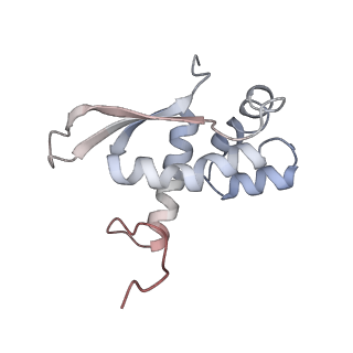 3285_3jcn_N_v1-2
Structures of ribosome-bound initiation factor 2 reveal the mechanism of subunit association: Initiation Complex I