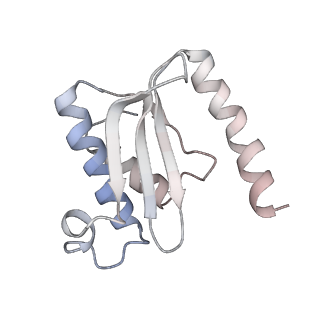 3285_3jcn_O_v1-2
Structures of ribosome-bound initiation factor 2 reveal the mechanism of subunit association: Initiation Complex I