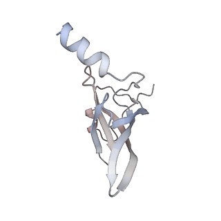 3285_3jcn_P_v1-2
Structures of ribosome-bound initiation factor 2 reveal the mechanism of subunit association: Initiation Complex I