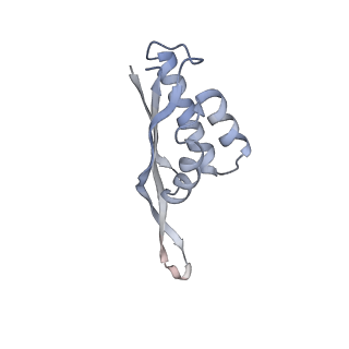 3285_3jcn_S_v1-2
Structures of ribosome-bound initiation factor 2 reveal the mechanism of subunit association: Initiation Complex I