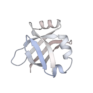 3285_3jcn_V_v1-2
Structures of ribosome-bound initiation factor 2 reveal the mechanism of subunit association: Initiation Complex I