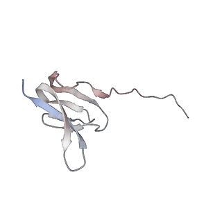 3285_3jcn_W_v1-2
Structures of ribosome-bound initiation factor 2 reveal the mechanism of subunit association: Initiation Complex I