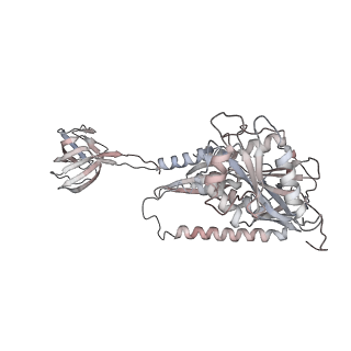 3285_3jcn_b_v1-2
Structures of ribosome-bound initiation factor 2 reveal the mechanism of subunit association: Initiation Complex I