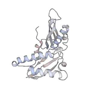 3285_3jcn_c_v1-2
Structures of ribosome-bound initiation factor 2 reveal the mechanism of subunit association: Initiation Complex I