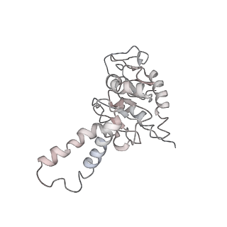 3285_3jcn_d_v1-2
Structures of ribosome-bound initiation factor 2 reveal the mechanism of subunit association: Initiation Complex I