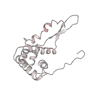 3285_3jcn_h_v1-2
Structures of ribosome-bound initiation factor 2 reveal the mechanism of subunit association: Initiation Complex I