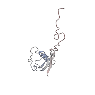 3285_3jcn_j_v1-2
Structures of ribosome-bound initiation factor 2 reveal the mechanism of subunit association: Initiation Complex I