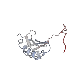 3285_3jcn_l_v1-2
Structures of ribosome-bound initiation factor 2 reveal the mechanism of subunit association: Initiation Complex I
