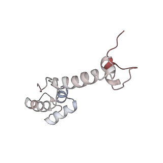3285_3jcn_n_v1-2
Structures of ribosome-bound initiation factor 2 reveal the mechanism of subunit association: Initiation Complex I