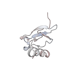 3285_3jcn_t_v1-2
Structures of ribosome-bound initiation factor 2 reveal the mechanism of subunit association: Initiation Complex I