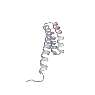 3285_3jcn_x_v1-2
Structures of ribosome-bound initiation factor 2 reveal the mechanism of subunit association: Initiation Complex I
