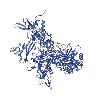 36162_8jch_B_v1-0
Cryo-EM structure of yeast Rat1-bound Pol II pre-termination transcription complex 1 (Pol II Rat1-PTTC1)