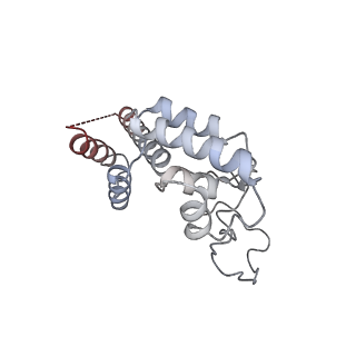 36162_8jch_D_v1-0
Cryo-EM structure of yeast Rat1-bound Pol II pre-termination transcription complex 1 (Pol II Rat1-PTTC1)