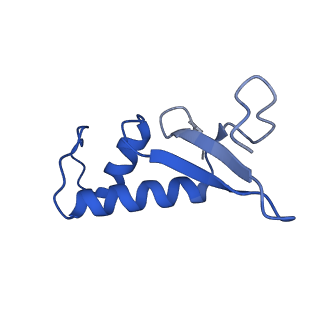 36162_8jch_F_v1-0
Cryo-EM structure of yeast Rat1-bound Pol II pre-termination transcription complex 1 (Pol II Rat1-PTTC1)