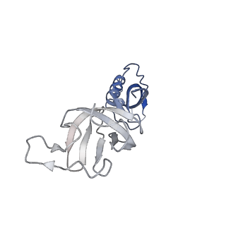 36162_8jch_G_v1-0
Cryo-EM structure of yeast Rat1-bound Pol II pre-termination transcription complex 1 (Pol II Rat1-PTTC1)