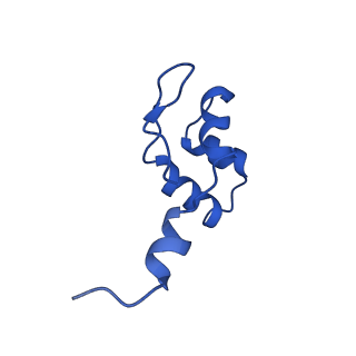 36162_8jch_J_v1-0
Cryo-EM structure of yeast Rat1-bound Pol II pre-termination transcription complex 1 (Pol II Rat1-PTTC1)