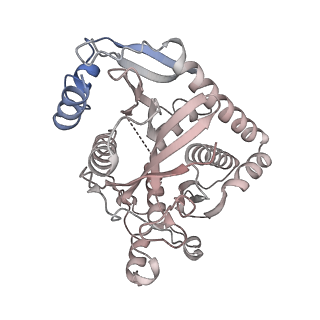 36162_8jch_O_v1-0
Cryo-EM structure of yeast Rat1-bound Pol II pre-termination transcription complex 1 (Pol II Rat1-PTTC1)