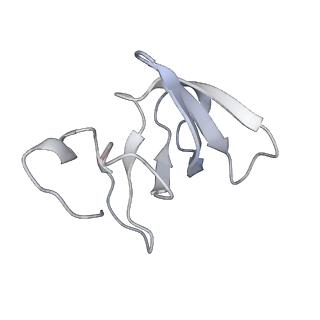 36162_8jch_W_v1-0
Cryo-EM structure of yeast Rat1-bound Pol II pre-termination transcription complex 1 (Pol II Rat1-PTTC1)