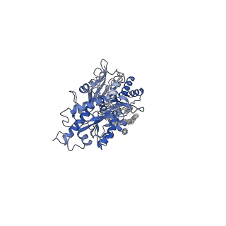 36165_8jcu_2_v1-1
Cryo-EM structure of mGlu2-mGlu3 heterodimer in presence of LY341495 (dimerization mode I)