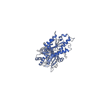 36165_8jcu_3_v1-1
Cryo-EM structure of mGlu2-mGlu3 heterodimer in presence of LY341495 (dimerization mode I)