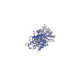 36166_8jcv_2_v1-1
Cryo-EM structure of mGlu2-mGlu3 heterodimer in presence of LY341495 (dimerization mode II)