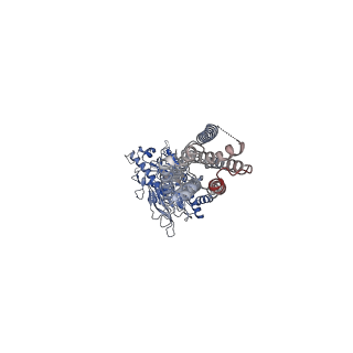 36167_8jcw_2_v1-1
Cryo-EM structure of mGlu2-mGlu3 heterodimer in presence of LY341495 and NAM563 (dimerization mode I)