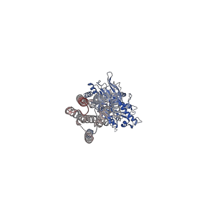 36167_8jcw_3_v1-1
Cryo-EM structure of mGlu2-mGlu3 heterodimer in presence of LY341495 and NAM563 (dimerization mode I)