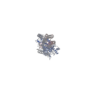 36168_8jcx_2_v1-1
Cryo-EM structure of mGlu2-mGlu3 heterodimer in presence of LY341495 and NAM563 (dimerization mode II)