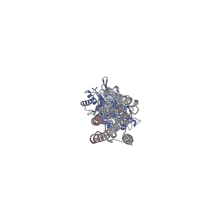 36168_8jcx_3_v1-1
Cryo-EM structure of mGlu2-mGlu3 heterodimer in presence of LY341495 and NAM563 (dimerization mode II)