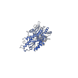 36169_8jcy_2_v1-1
Cryo-EM structure of mGlu2-mGlu3 heterodimer in presence of LY341495, NAM563, and LY2389575 (dimerization mode I)