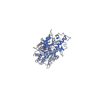 36169_8jcy_3_v1-1
Cryo-EM structure of mGlu2-mGlu3 heterodimer in presence of LY341495, NAM563, and LY2389575 (dimerization mode I)