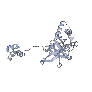 6441_3jca_A_v1-4
Core model of the Mouse Mammary Tumor Virus intasome