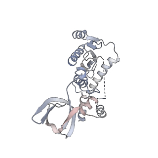 6441_3jca_B_v1-4
Core model of the Mouse Mammary Tumor Virus intasome