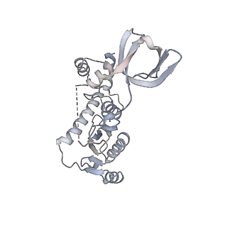 6441_3jca_F_v1-4
Core model of the Mouse Mammary Tumor Virus intasome