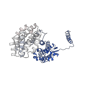 6479_3jck_A_v1-3
Structure of the yeast 26S proteasome lid sub-complex