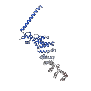 6479_3jck_B_v1-3
Structure of the yeast 26S proteasome lid sub-complex