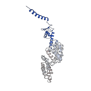 6479_3jck_C_v1-2
Structure of the yeast 26S proteasome lid sub-complex